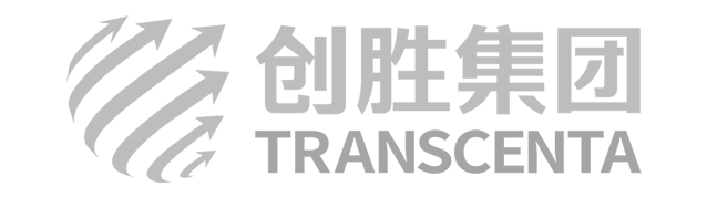 网站建设开发,做网站,网络公司,网站制作,网站宣传推广,外贸独立网站制作推广,外贸网站SEO,思诚网络-合作伙伴创胜集团